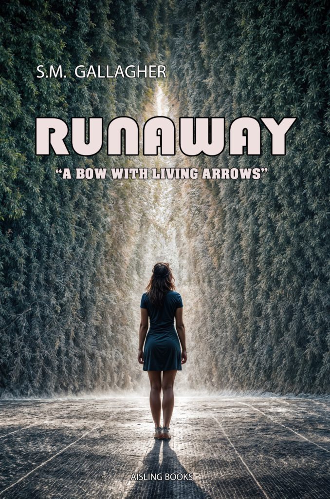 Front cover of RUNAWAY - A BOW WITH LIVING ARROWS by S.M. Gallagher